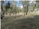 Lot 2 Mulgowrie Road, Binda NSW 2583