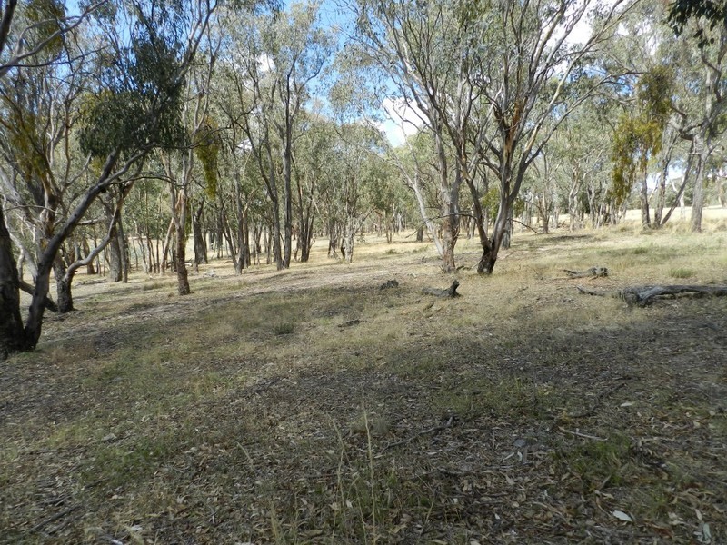 Lot 2 Mulgowrie Road, Binda NSW 2583