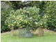 104 Deccan  Street, Goulburn NSW 2580