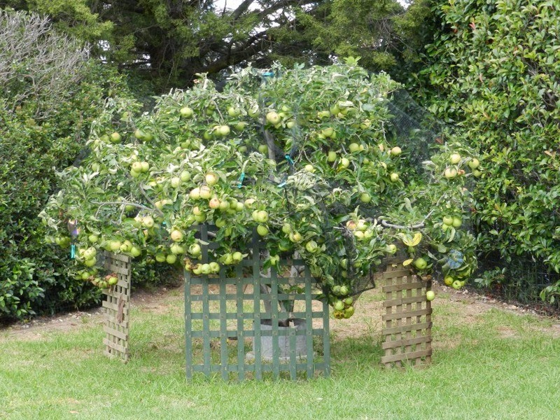 104 Deccan  Street, Goulburn NSW 2580