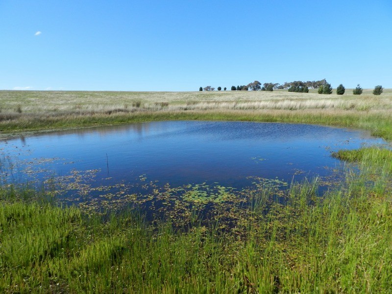 2084 Crookwell  Road, Goulburn NSW 2580