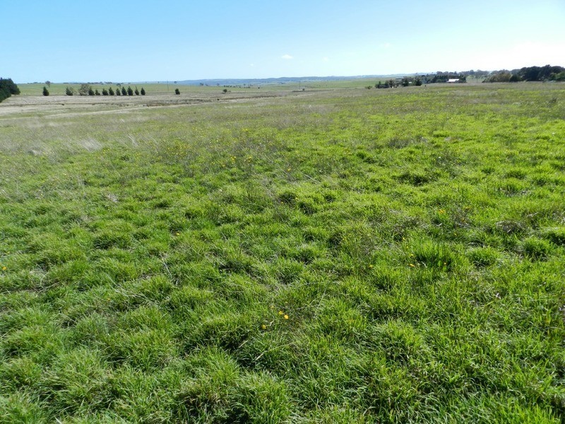 2084 Crookwell  Road, Goulburn NSW 2580