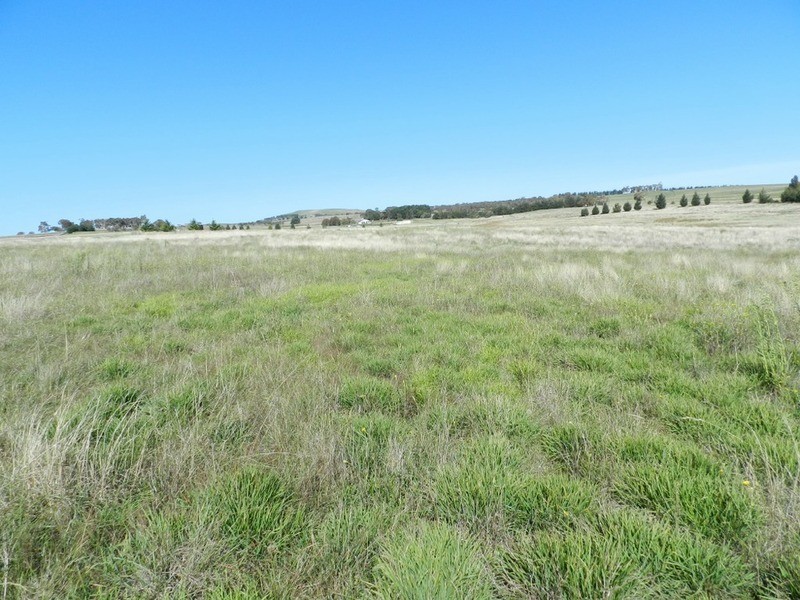 2084 Crookwell  Road, Goulburn NSW 2580