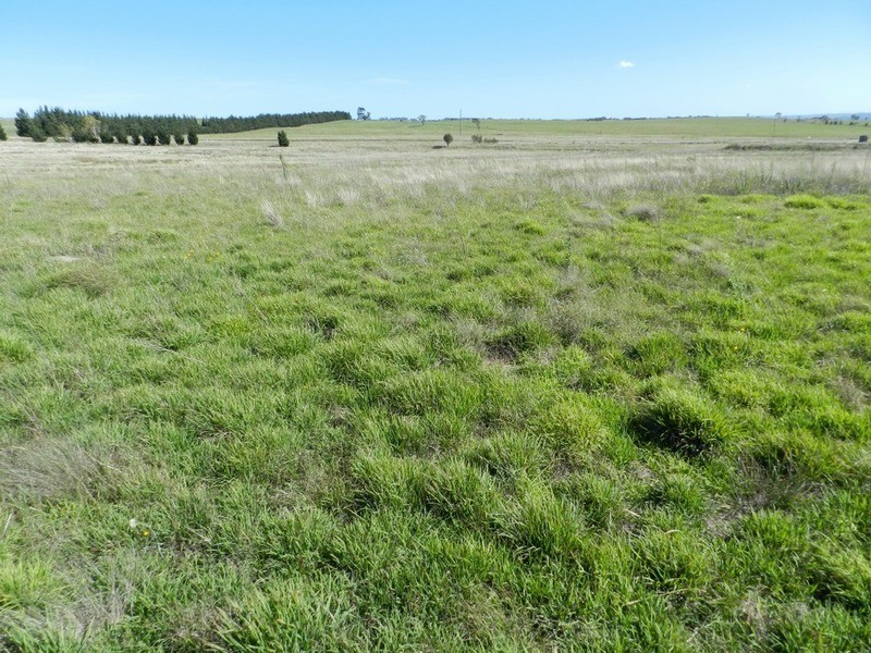 2084 Crookwell  Road, Goulburn NSW 2580