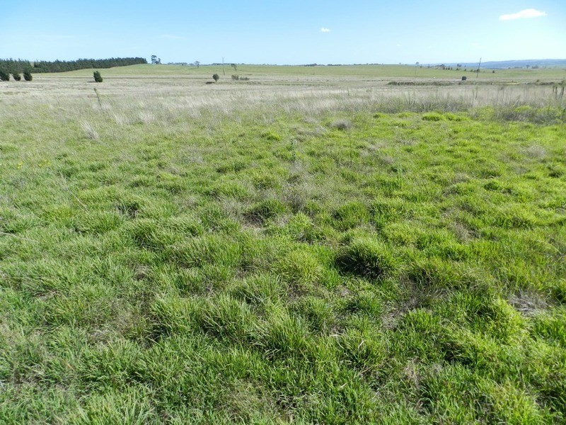 2084 Crookwell  Road, Goulburn NSW 2580