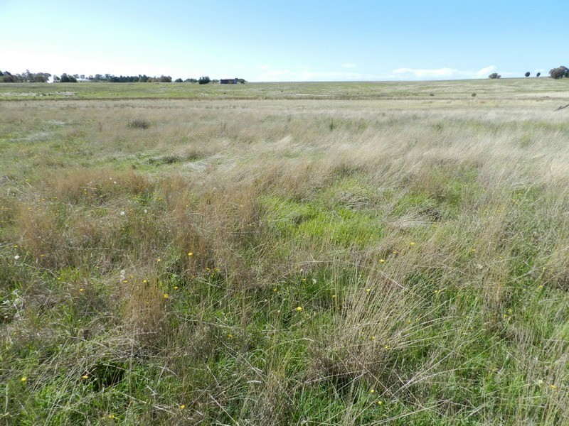 2084 Crookwell  Road, Goulburn NSW 2580