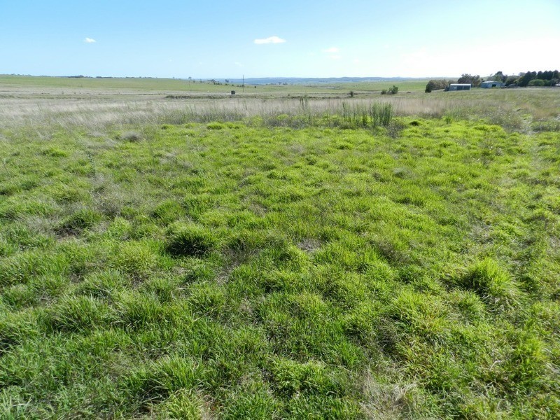 2084 Crookwell  Road, Goulburn NSW 2580