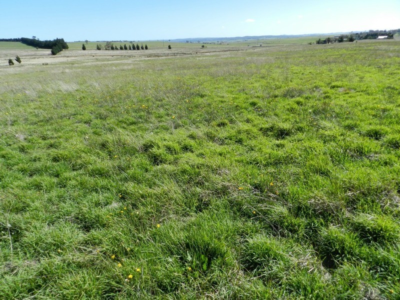 2084 Crookwell  Road, Goulburn NSW 2580