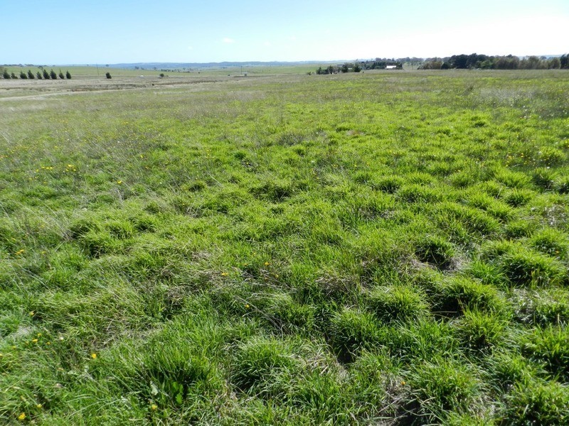 2084 Crookwell  Road, Goulburn NSW 2580