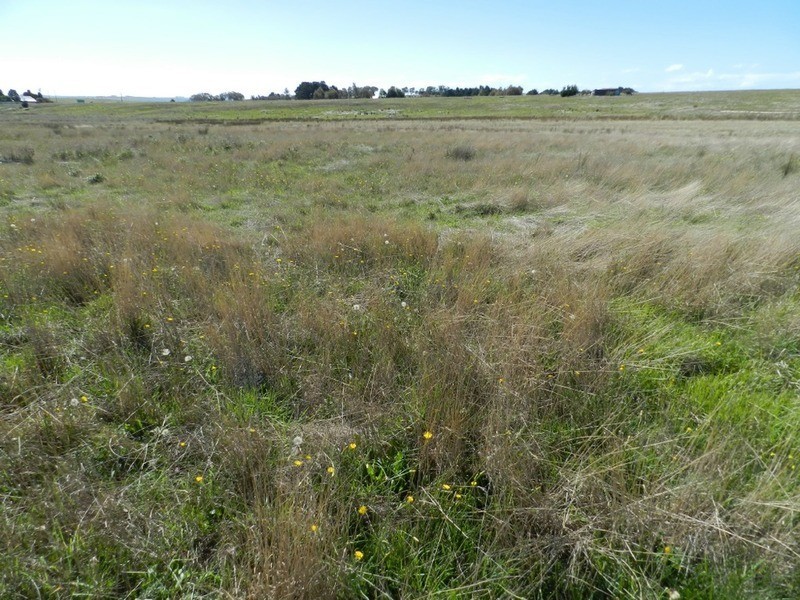 2084 Crookwell  Road, Goulburn NSW 2580