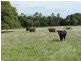 Lot 12 Wombeyan Caves Road, Taralga NSW 2580