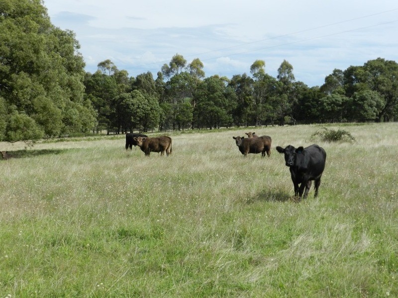 Lot 12 Wombeyan Caves Road, Taralga NSW 2580