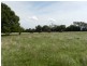 Lot 12 Wombeyan Caves Road, Taralga NSW 2580