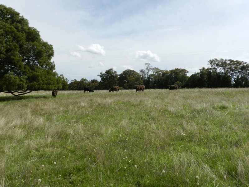 Lot 12 Wombeyan Caves Road, Taralga NSW 2580