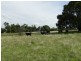 Lot 12 Wombeyan Caves Road, Taralga NSW 2580