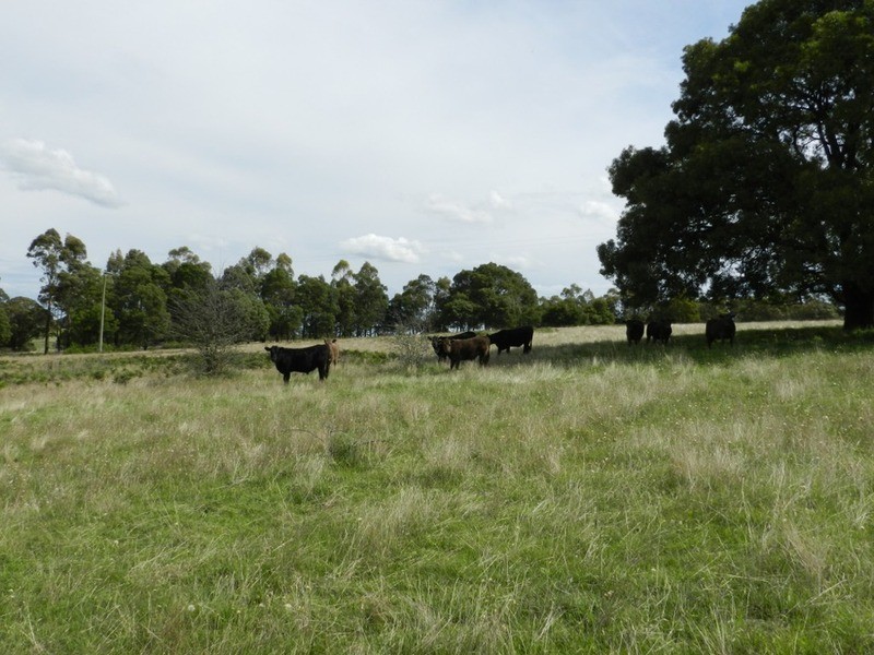 Lot 12 Wombeyan Caves Road, Taralga NSW 2580