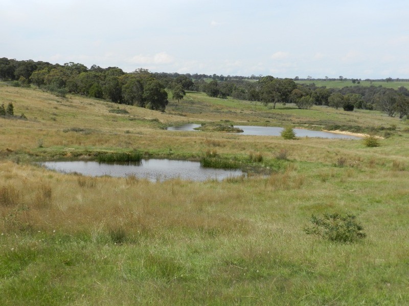 Lot 12 Wombeyan Caves Road, Taralga NSW 2580