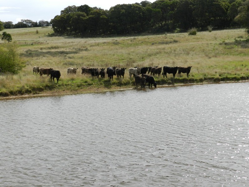 Lot 12 Wombeyan Caves Road, Taralga NSW 2580