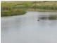 Lot 12 Wombeyan Caves Road, Taralga NSW 2580