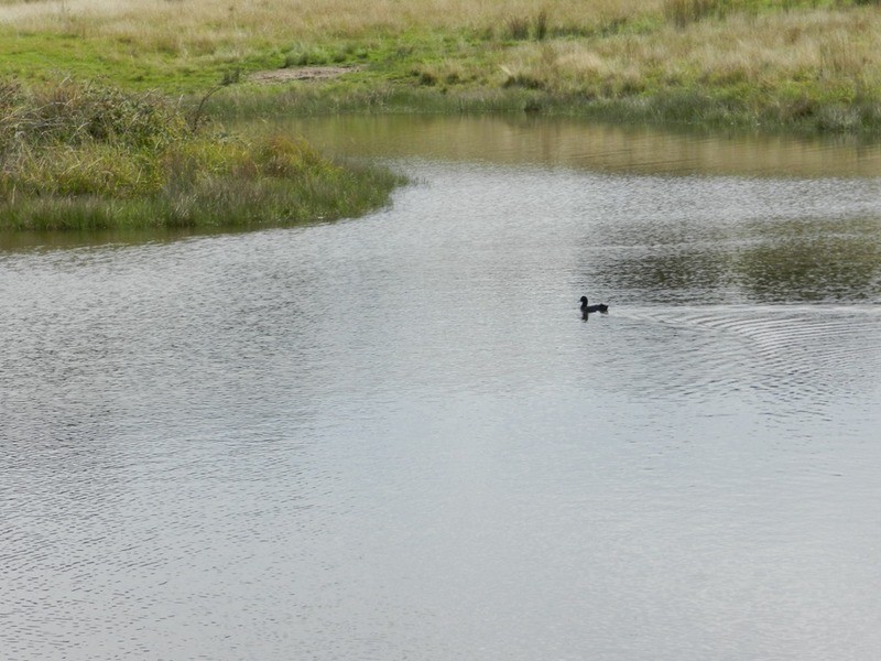 Lot 12 Wombeyan Caves Road, Taralga NSW 2580