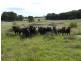 Lot 12 Wombeyan Caves Road, Taralga NSW 2580