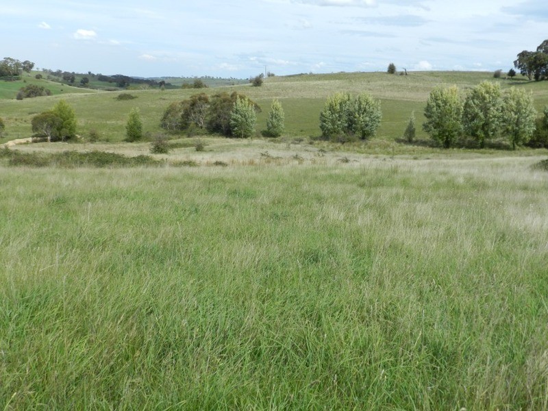 Lot 12 Wombeyan Caves Road, Taralga NSW 2580