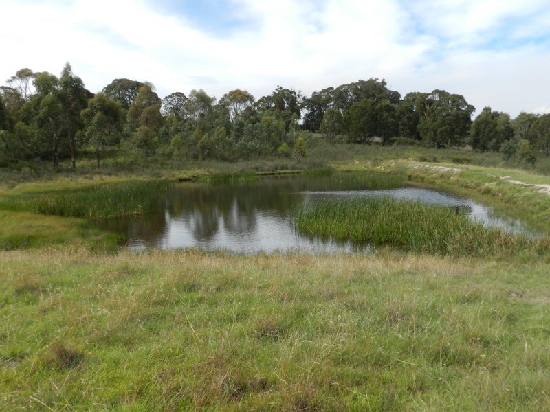 Lot 12 Wombeyan Caves Road, Taralga NSW 2580