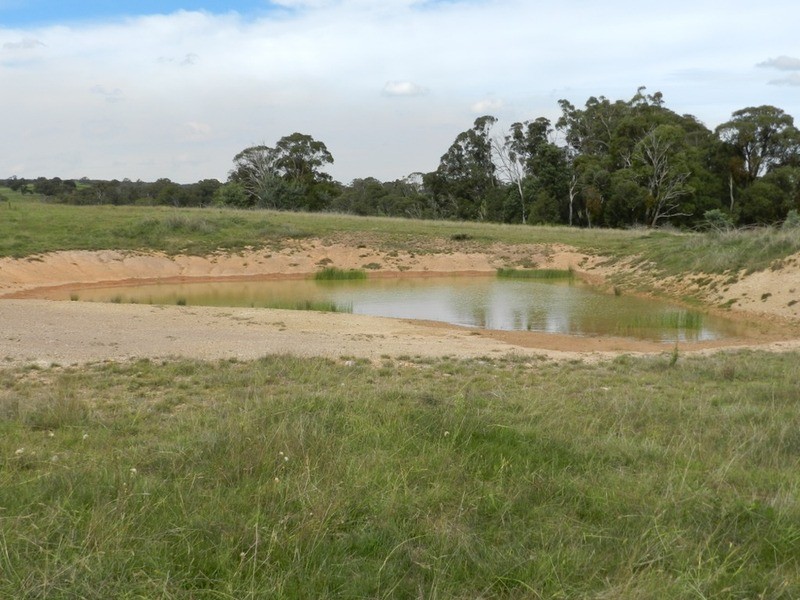 Lot 12 Wombeyan Caves Road, Taralga NSW 2580