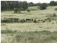 Lot 12 Wombeyan Caves Road, Taralga NSW 2580