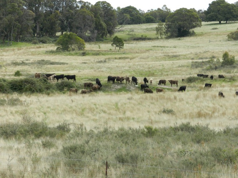 Lot 12 Wombeyan Caves Road, Taralga NSW 2580