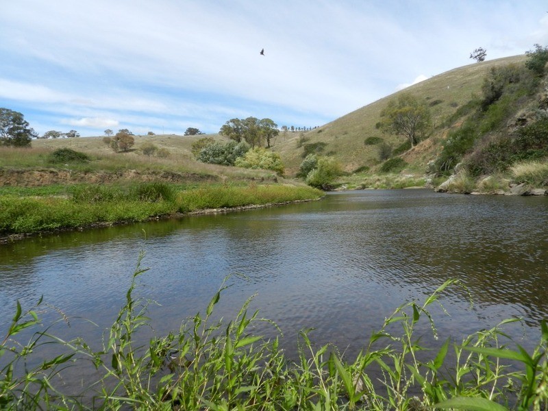 832 Levels  Road, Golspie NSW 2580