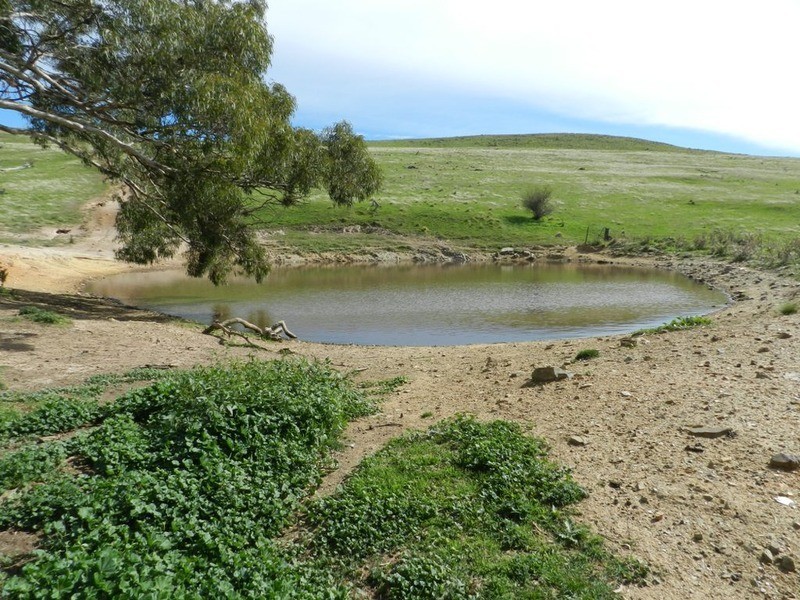 832 Levels  Road, Golspie NSW 2580