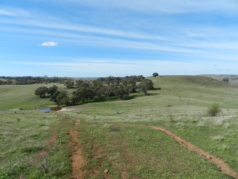 832 Levels  Road, Golspie NSW 2580
