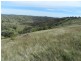 832 Levels  Road, Golspie NSW 2580