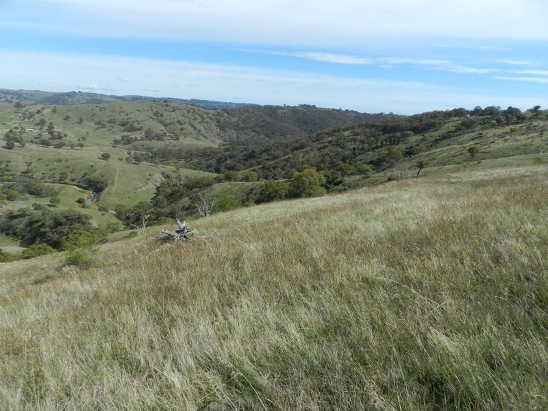 832 Levels  Road, Golspie NSW 2580