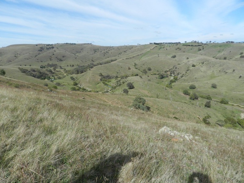 832 Levels  Road, Golspie NSW 2580