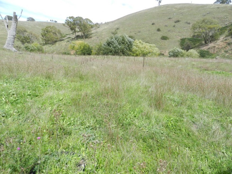 832 Levels  Road, Golspie NSW 2580