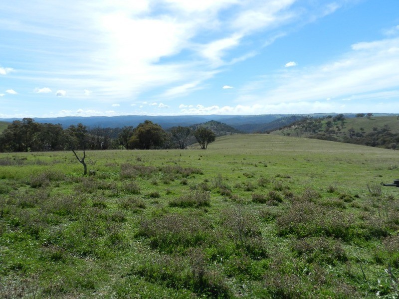 832 Levels  Road, Golspie NSW 2580