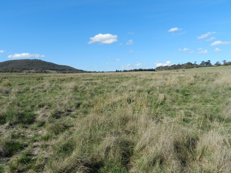 259 Windellama Road, Goulburn NSW 2580