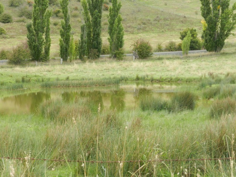 259 Windellama Road, Goulburn NSW 2580