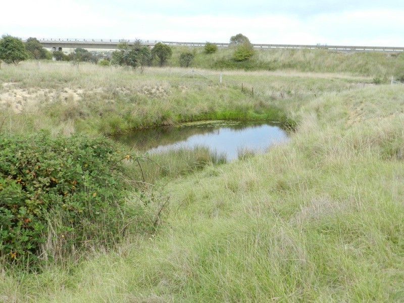 259 Windellama Road, Goulburn NSW 2580