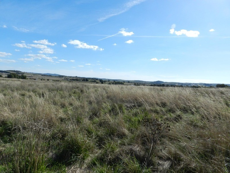 259 Windellama Road, Goulburn NSW 2580