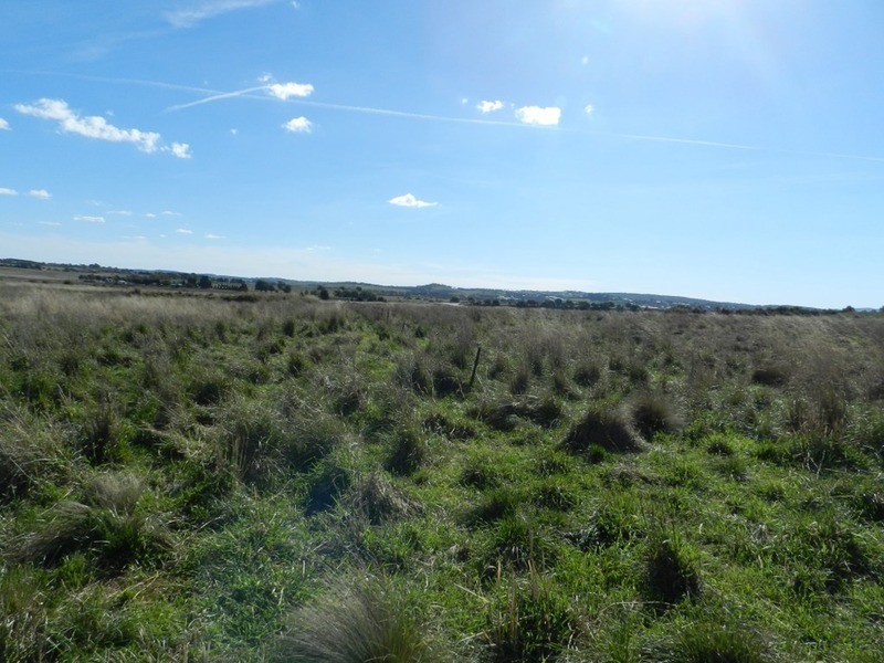 259 Windellama Road, Goulburn NSW 2580