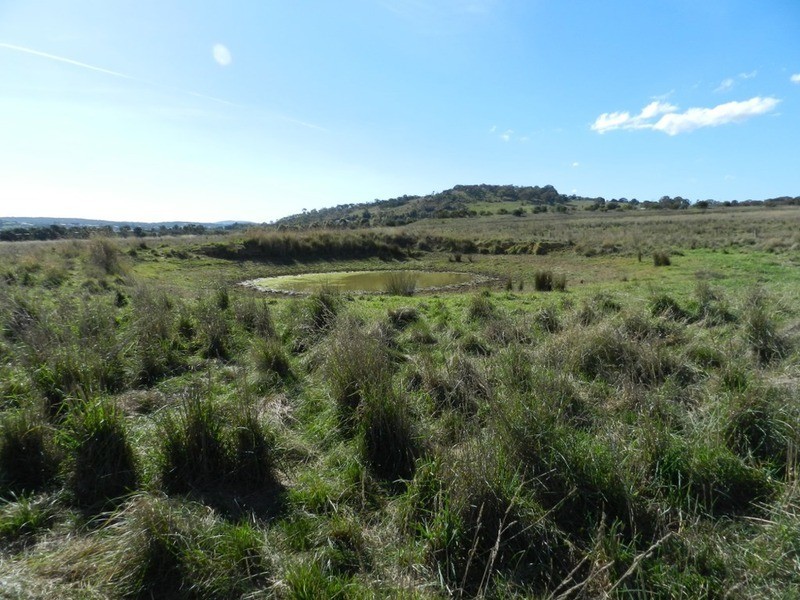 259 Windellama Road, Goulburn NSW 2580