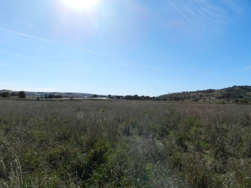 259 Windellama Road, Goulburn NSW 2580