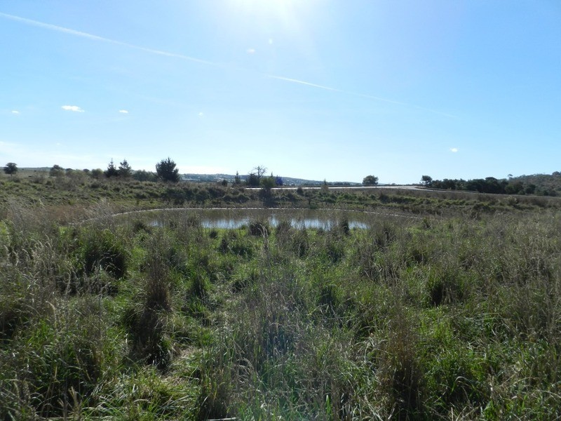 259 Windellama Road, Goulburn NSW 2580