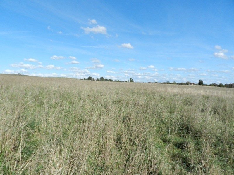 259 Windellama Road, Goulburn NSW 2580