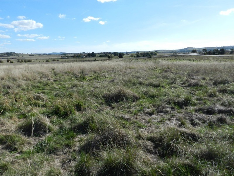 259 Windellama Road, Goulburn NSW 2580