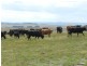 2462 Taralga Road, Laggan NSW 2583