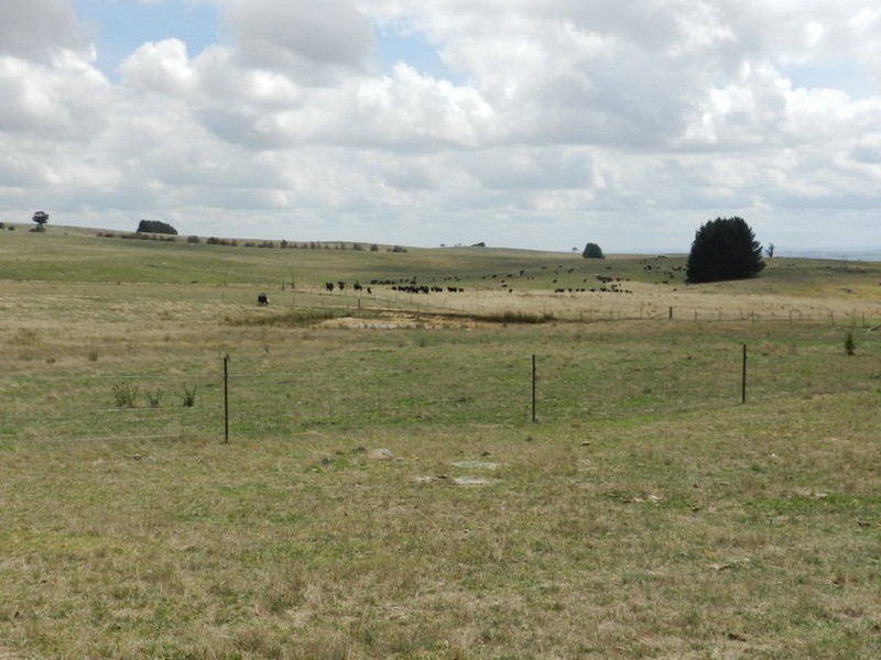 2462 Taralga Road, Laggan NSW 2583